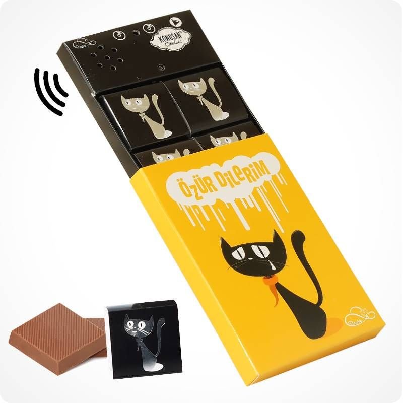 Konuşan Çikolata '' Özür Dilerim'' 